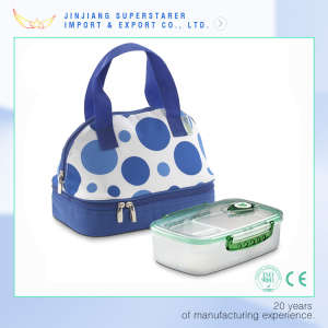 Blue DOT Eco-Friendly Insulated Picnic Lunch Bag