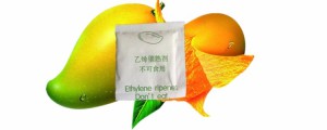Fresh Mango Ethylene Ripening
