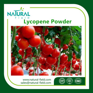 Supply Best Natural Plant Extract Tomato Extract Lycopene Powder